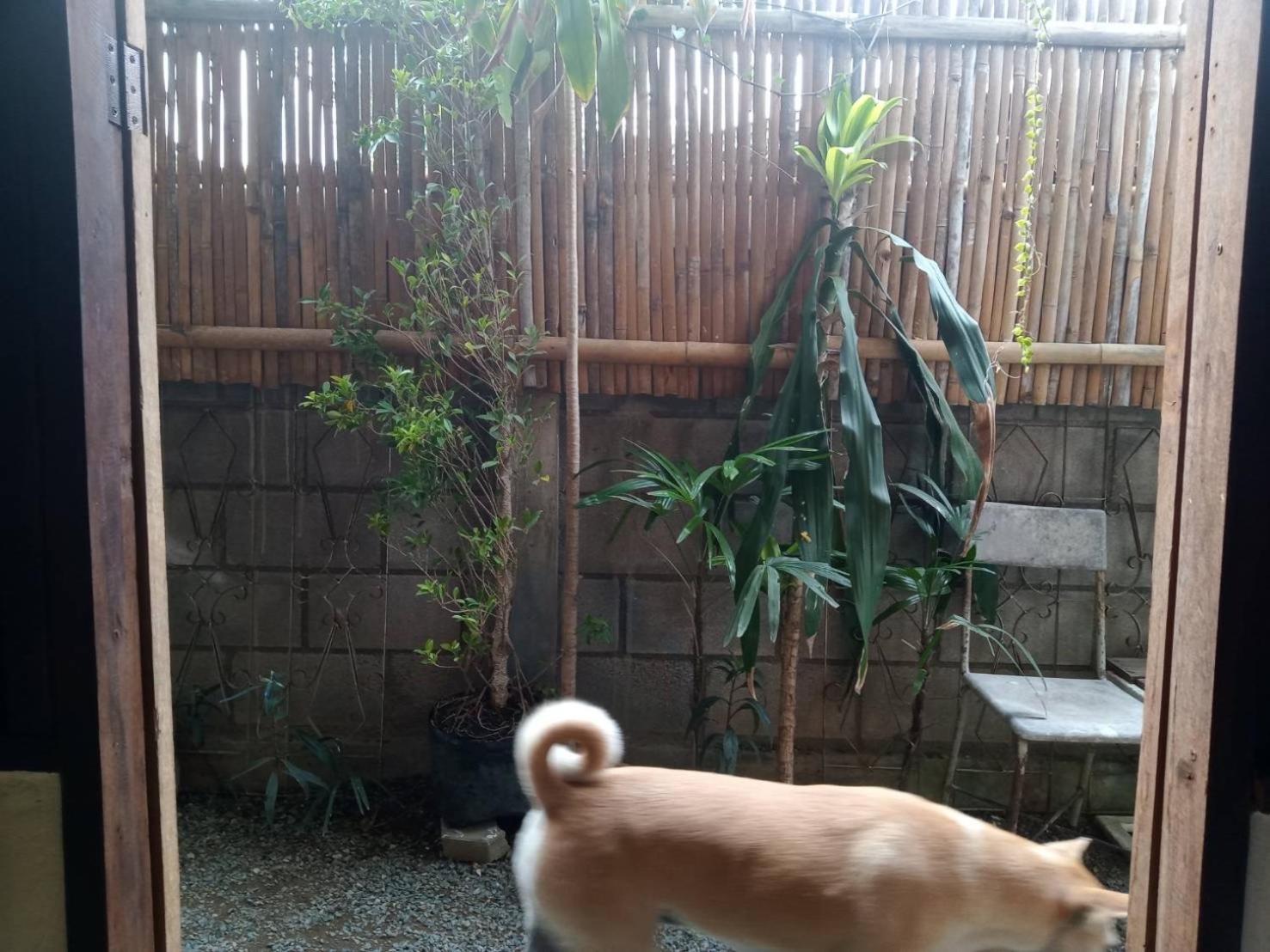Imchai Pai Esterno foto